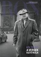 Költészet: A versek esztétikája
