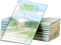 הדרך אל האושר, מארז